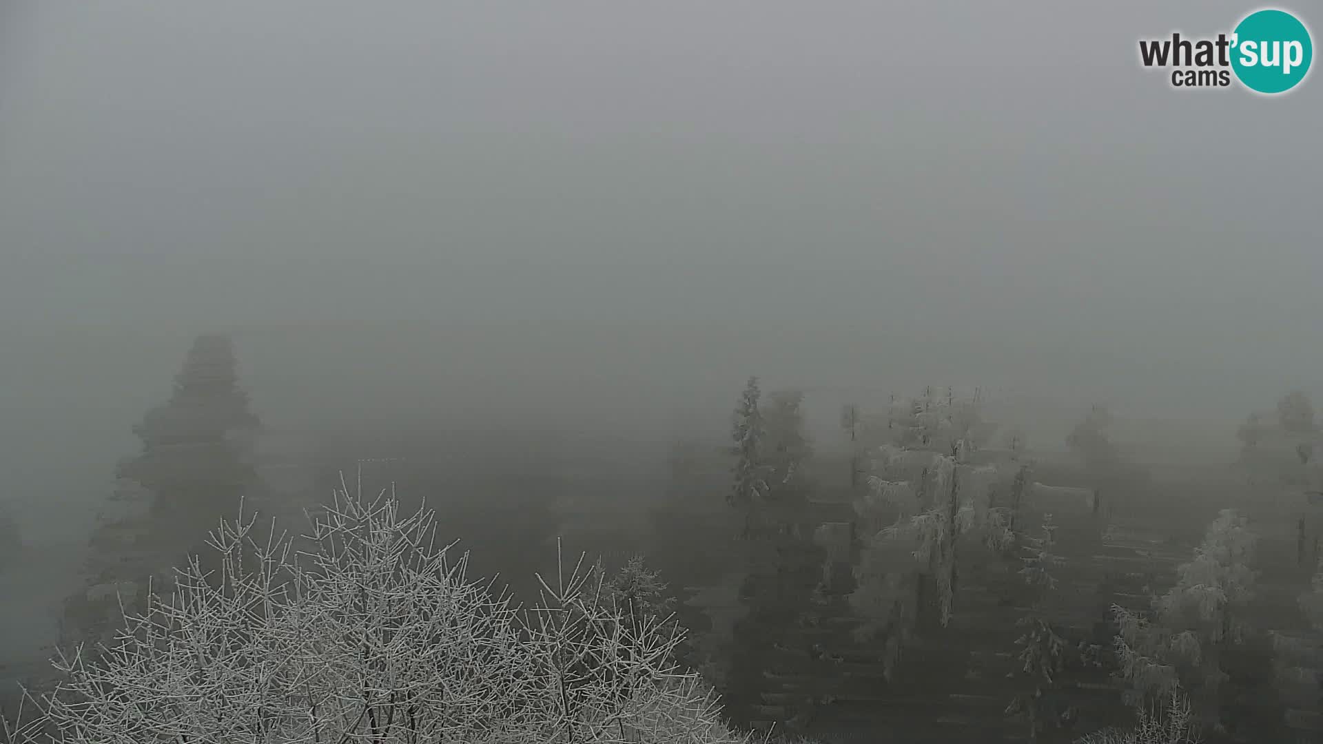 Live cam Kapunar – Radlje ob Dravi