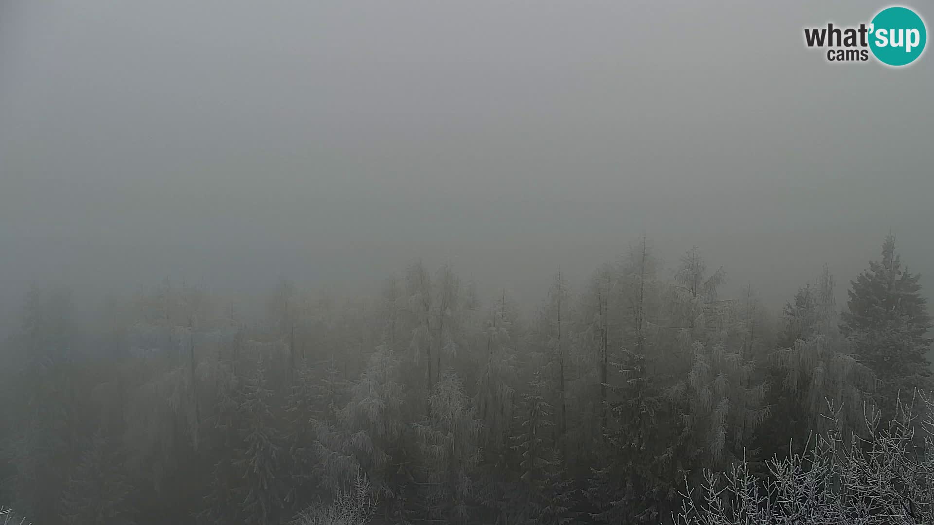 Live cam Kapunar – Radlje ob Dravi