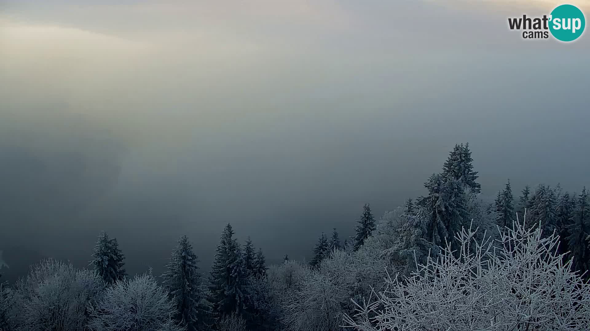 Webcam Kapunar – Radlje ob Dravi