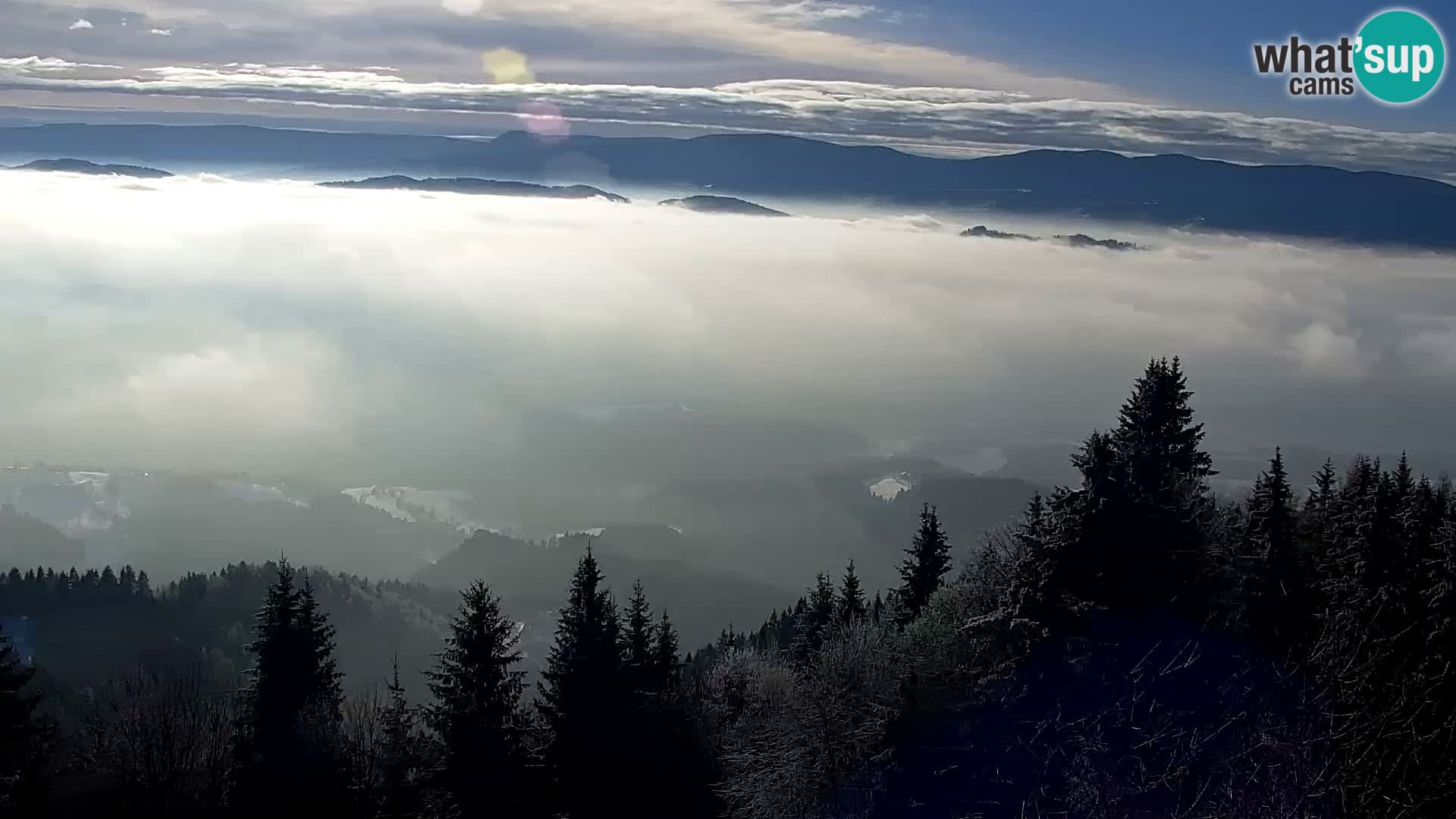 Kapunar Webcam – Radlje ob Dravi