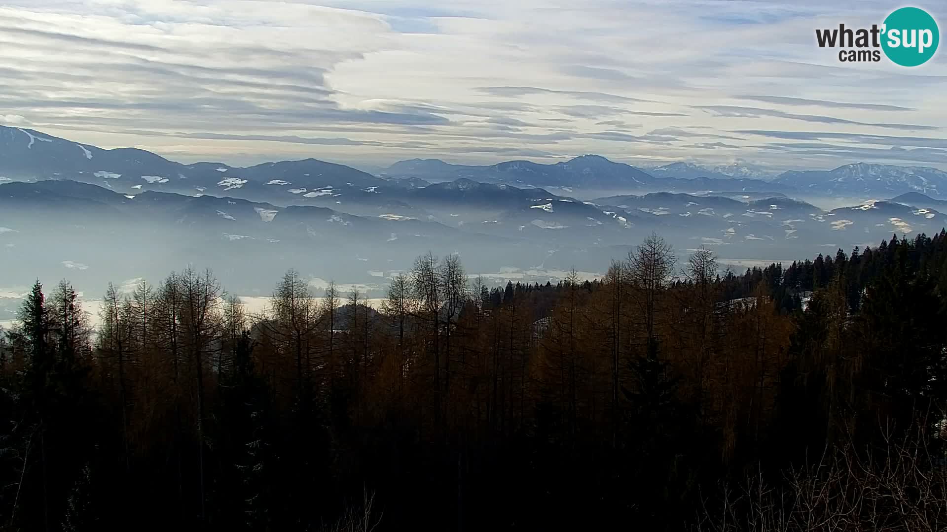 Kapunar Web kamera – Radlje ob Dravi