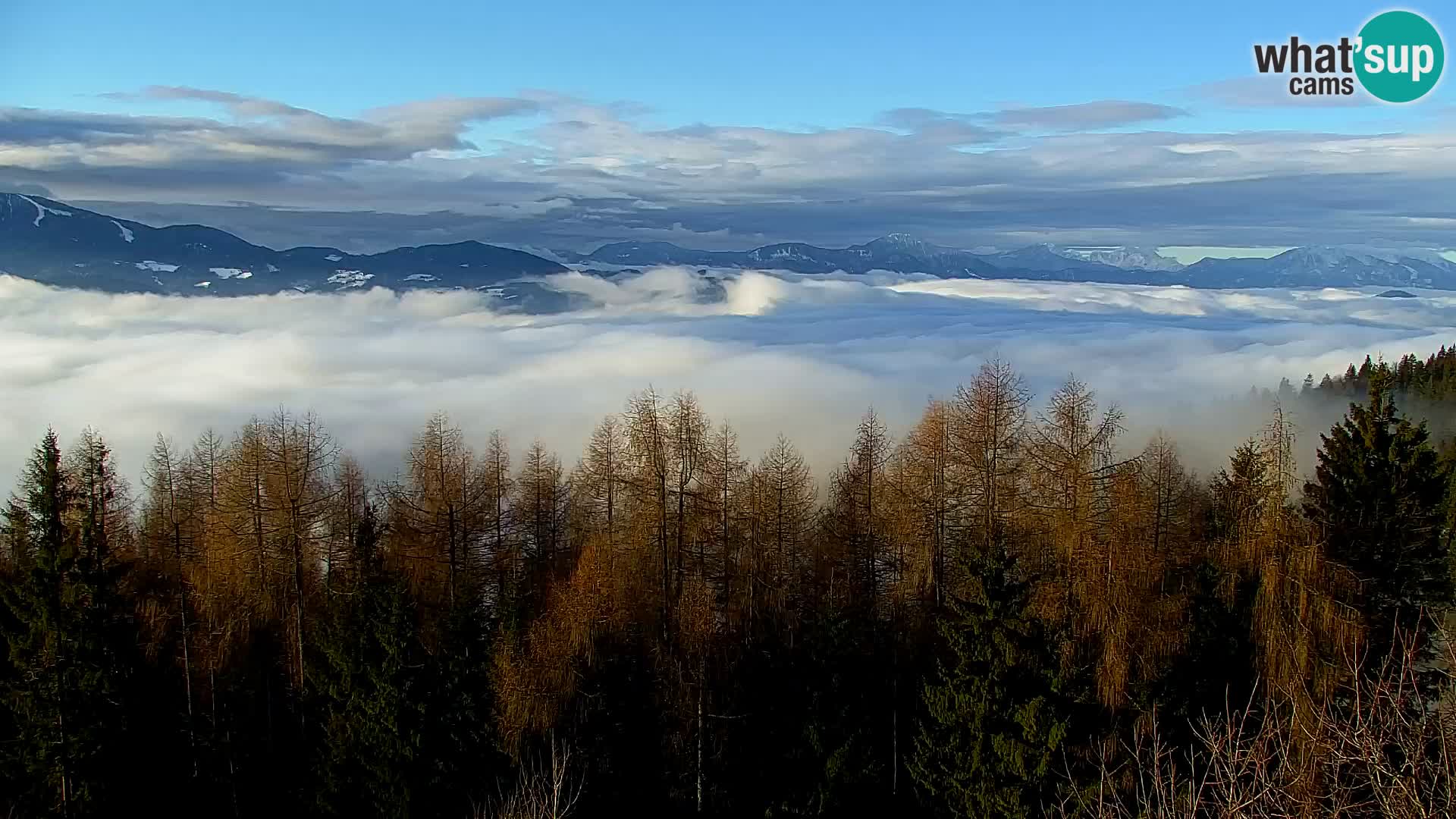 Webcam Kapunar – Radlje ob Dravi