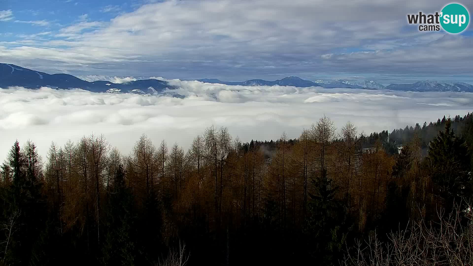 Webcam Kapunar – Radlje ob Dravi