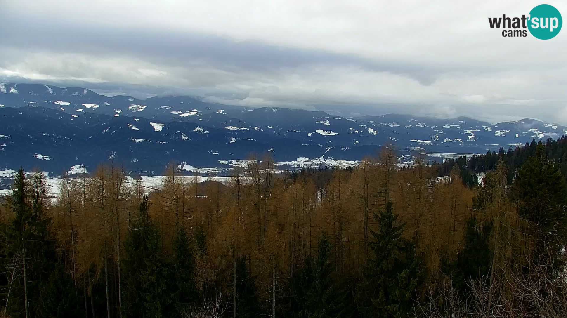 Webcam Kapunar – Radlje ob Dravi