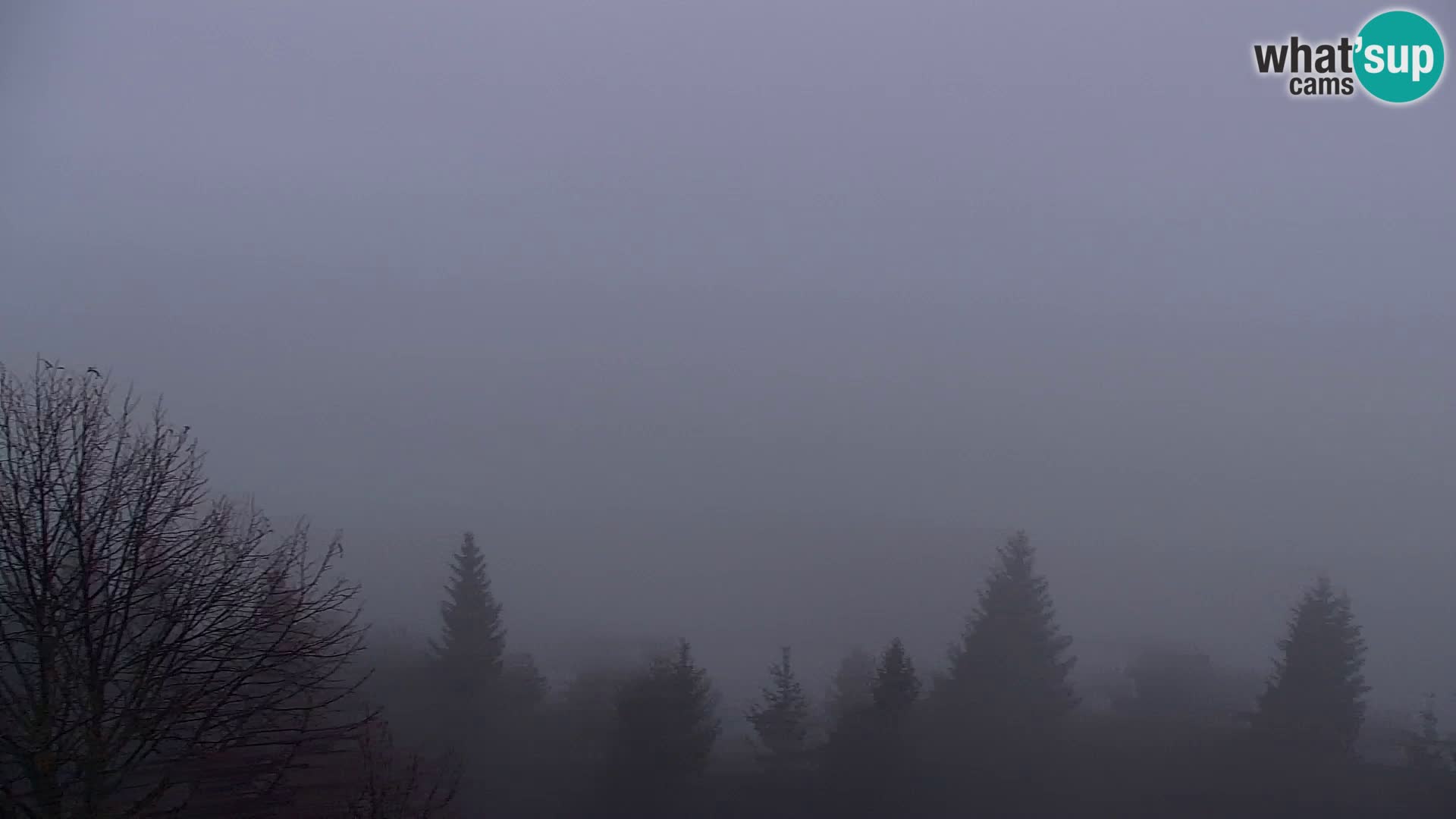 Webcam Kapunar – Radlje ob Dravi