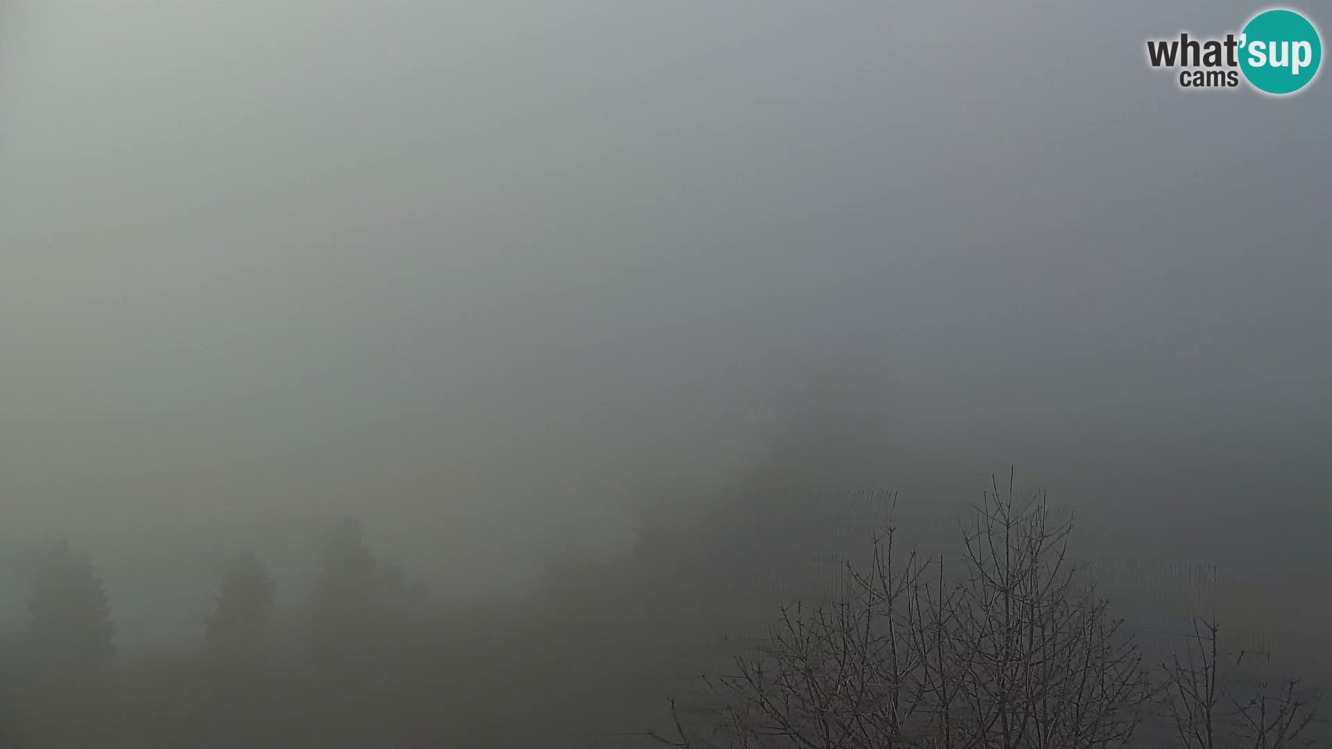 Webcam Kapunar – Radlje ob Dravi