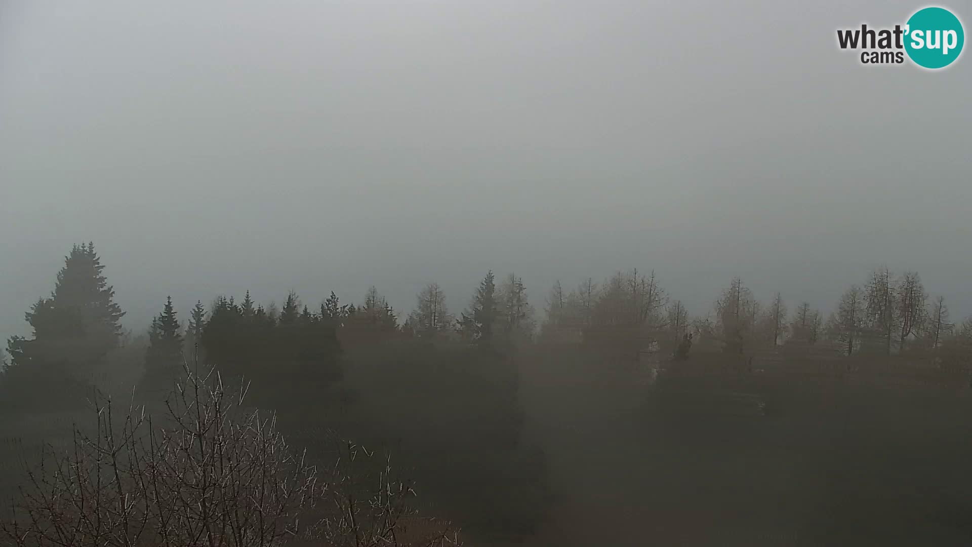 Webcam Kapunar – Radlje ob Dravi