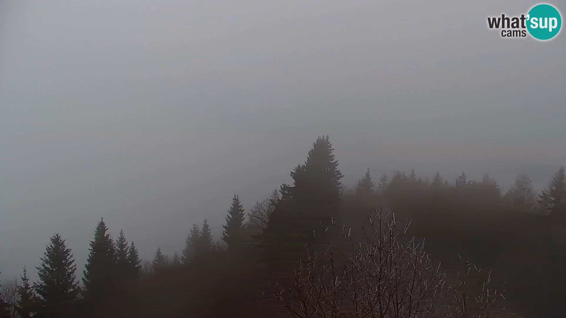 Live cam Kapunar – Radlje ob Dravi