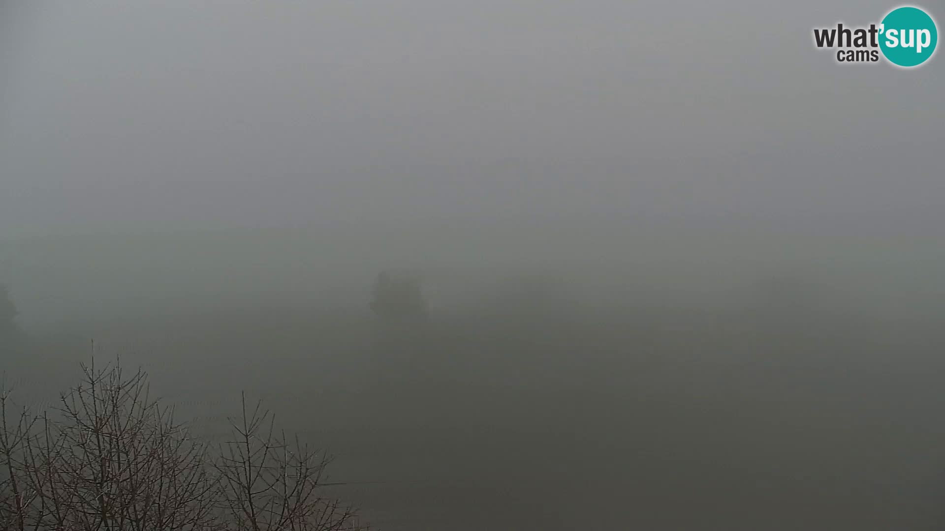 Kapunar Webcam – Radlje ob Dravi