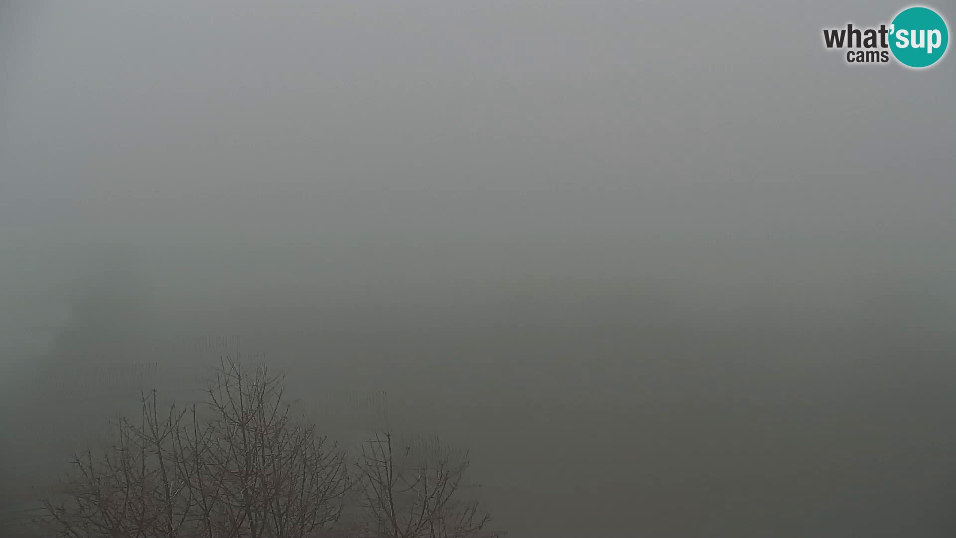 Kapunar Webcam – Radlje ob Dravi