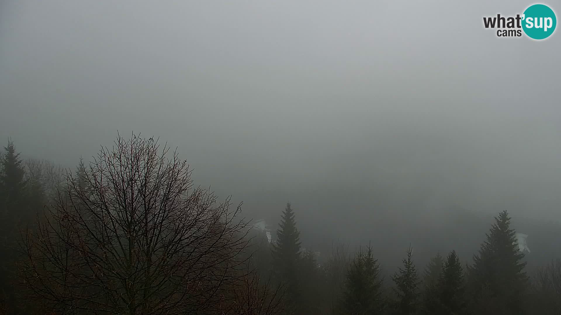 Kapunar Webcam – Radlje ob Dravi