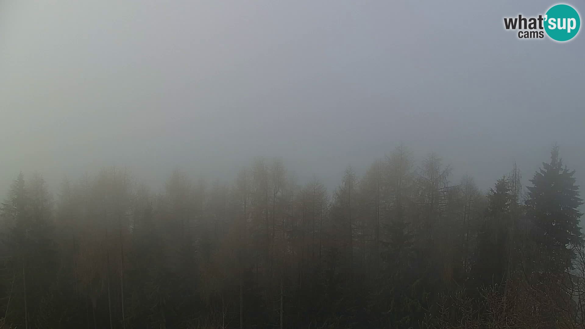 Kapunar Webcam – Radlje ob Dravi