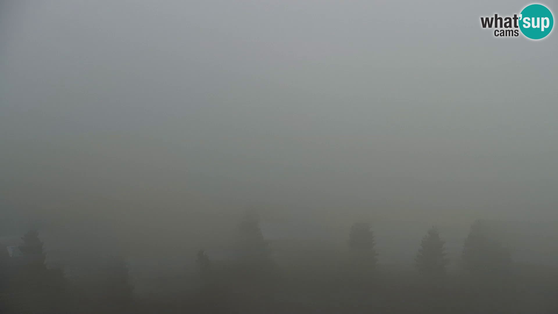 Webcam Kapunar – Radlje ob Dravi