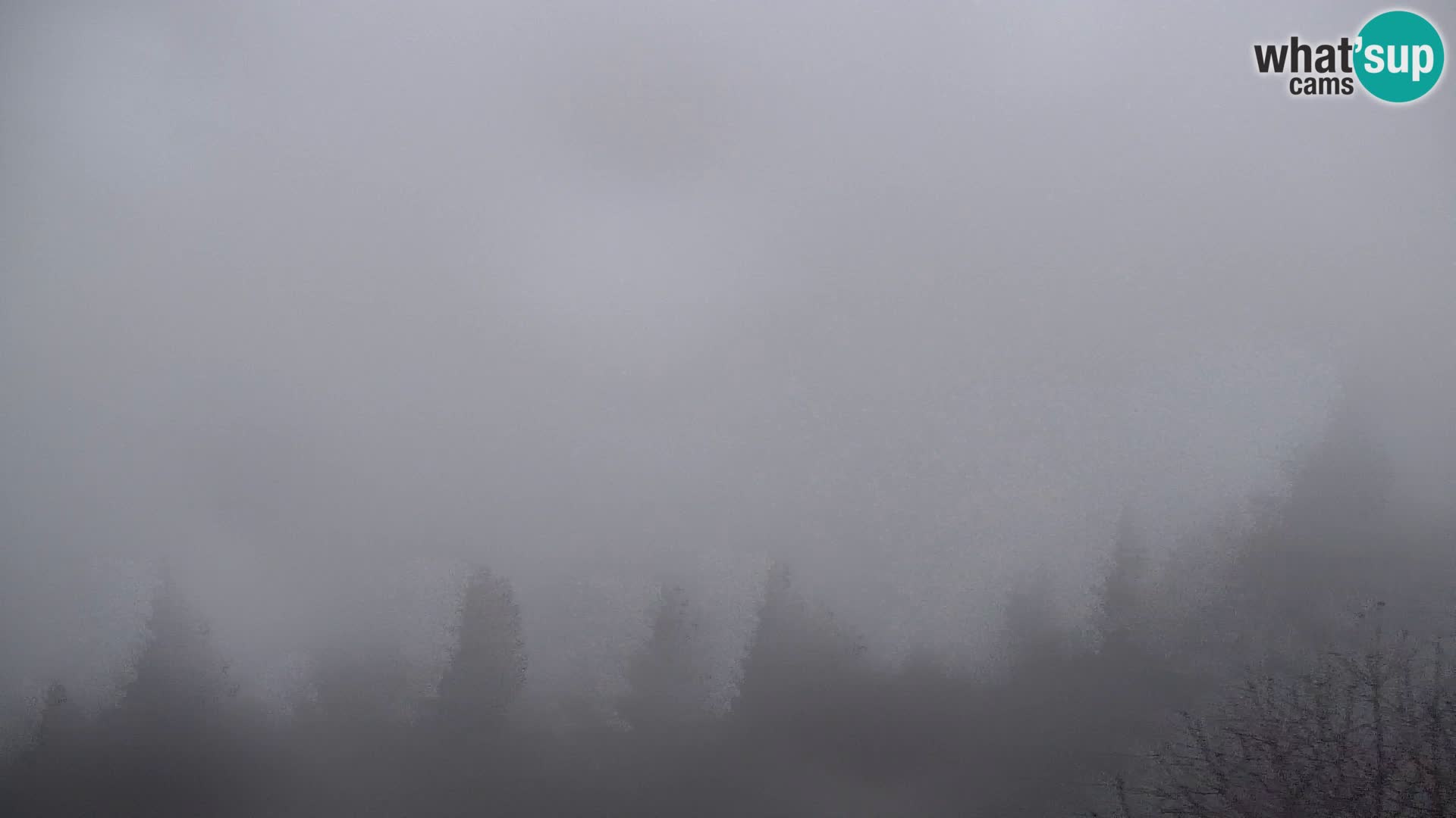 Webcam Kapunar – Radlje ob Dravi