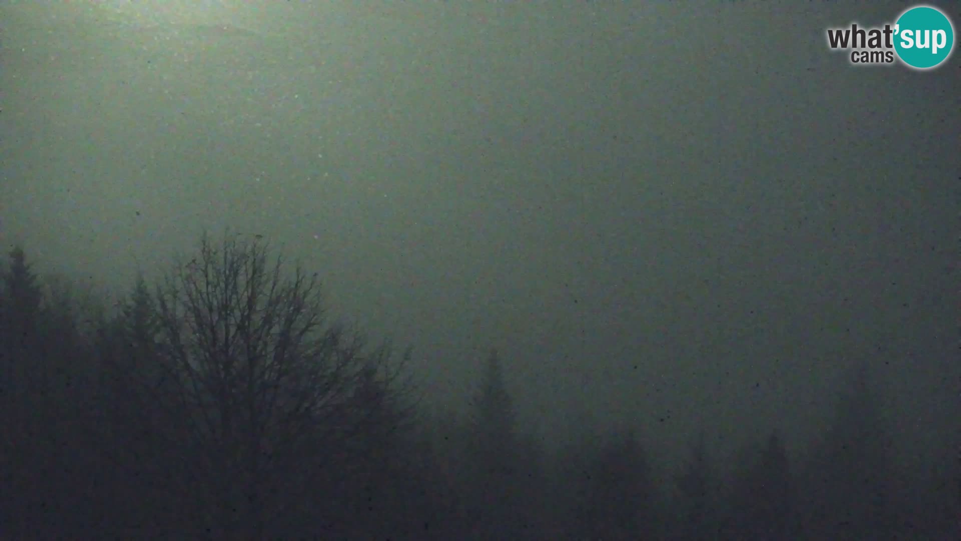 Kapunar Webcam – Radlje ob Dravi