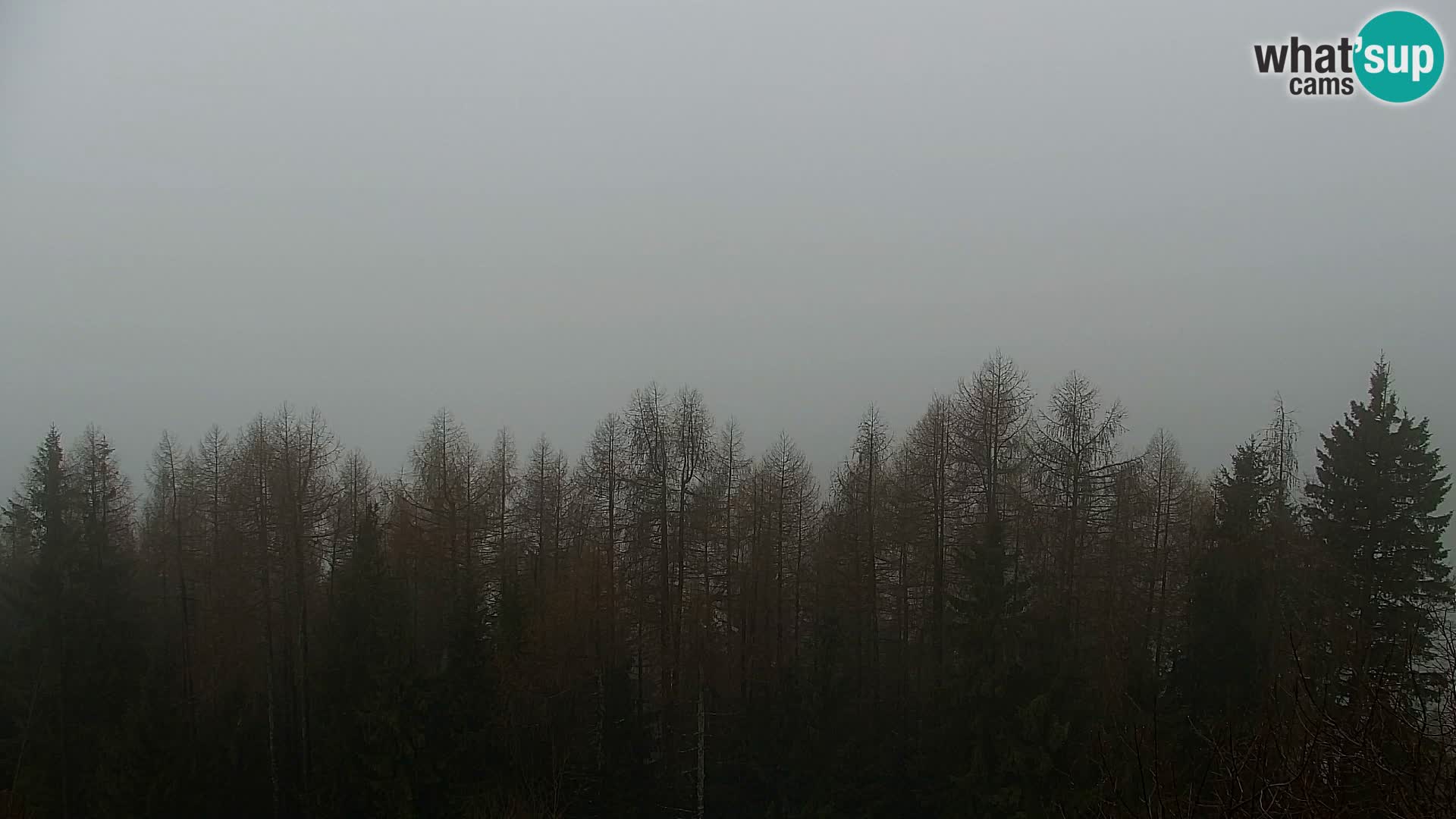 Webcam Kapunar – Radlje ob Dravi