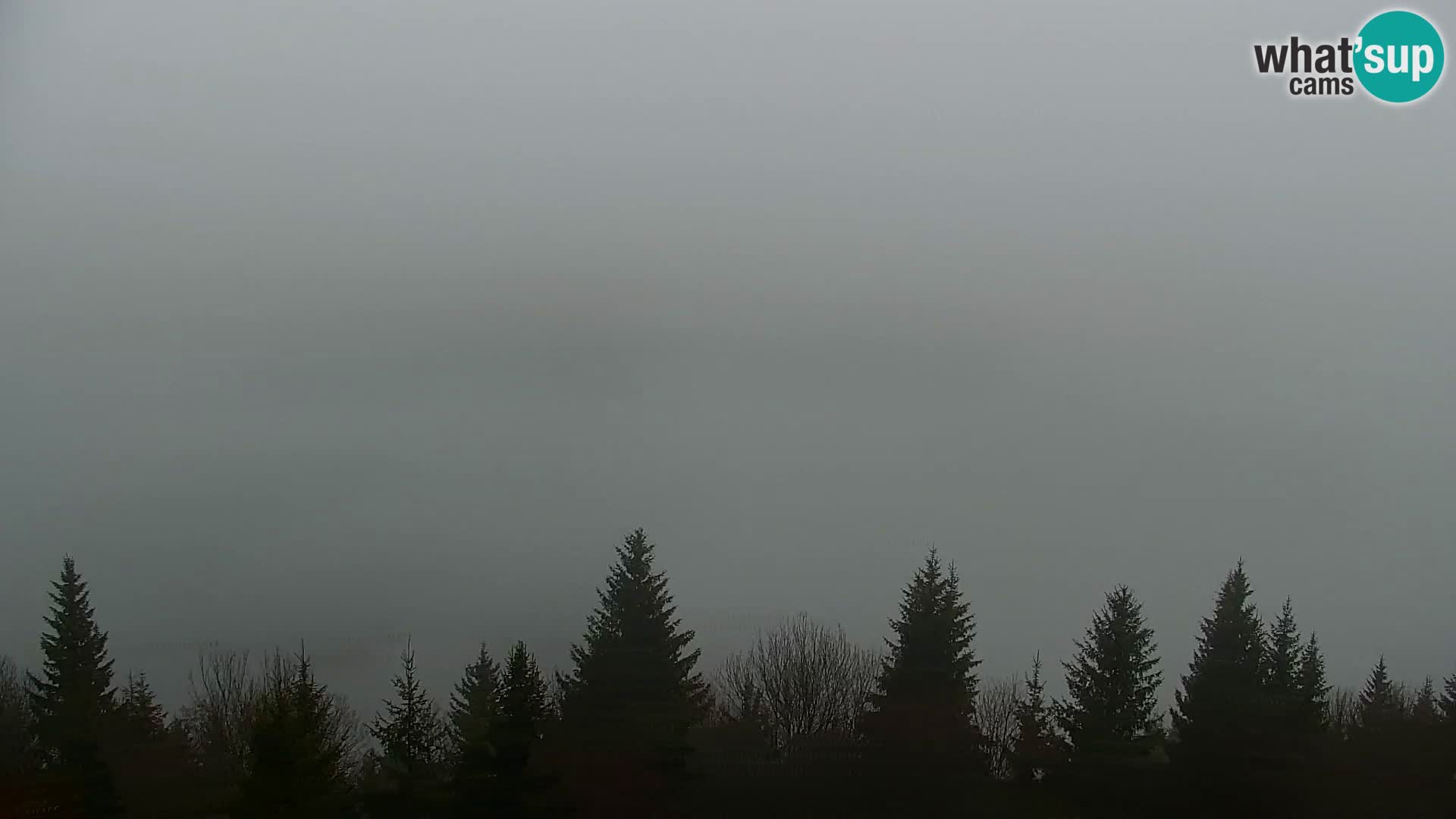 Live cam Kapunar – Radlje ob Dravi