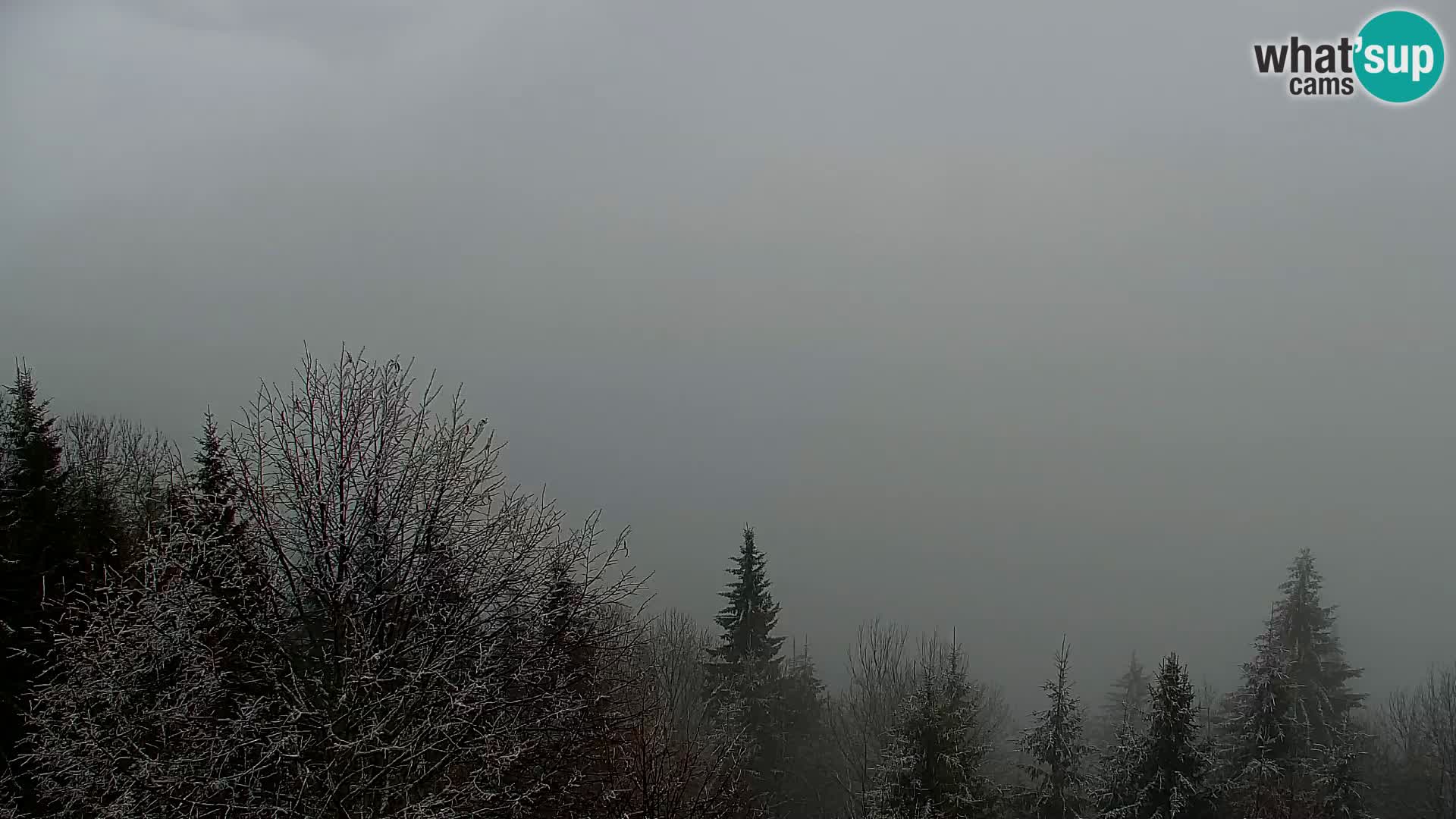 Live cam Kapunar – Radlje ob Dravi