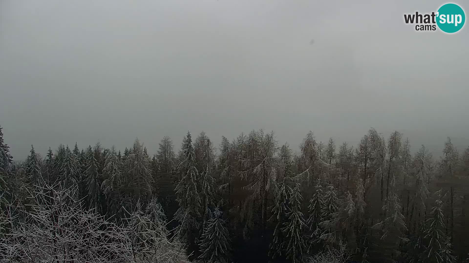 Kapunar Webcam – Radlje ob Dravi