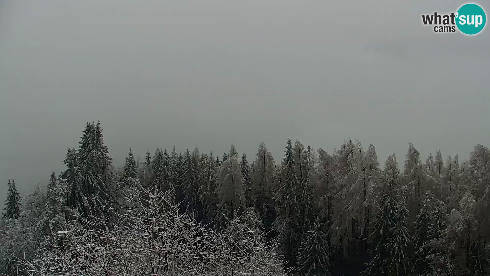 Live cam Kapunar – Radlje ob Dravi