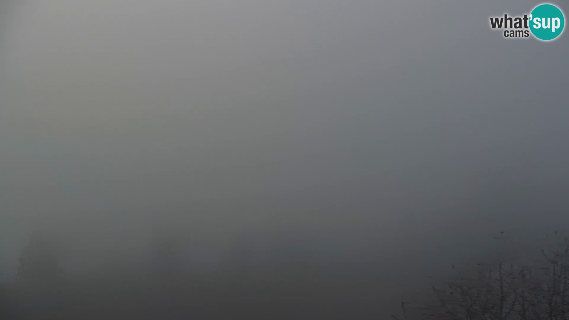 Live cam Kapunar – Radlje ob Dravi