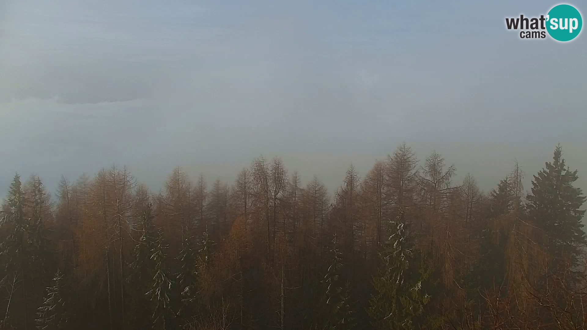 Webcam Kapunar | Monte Kapuna hacia Austria y Pohorje