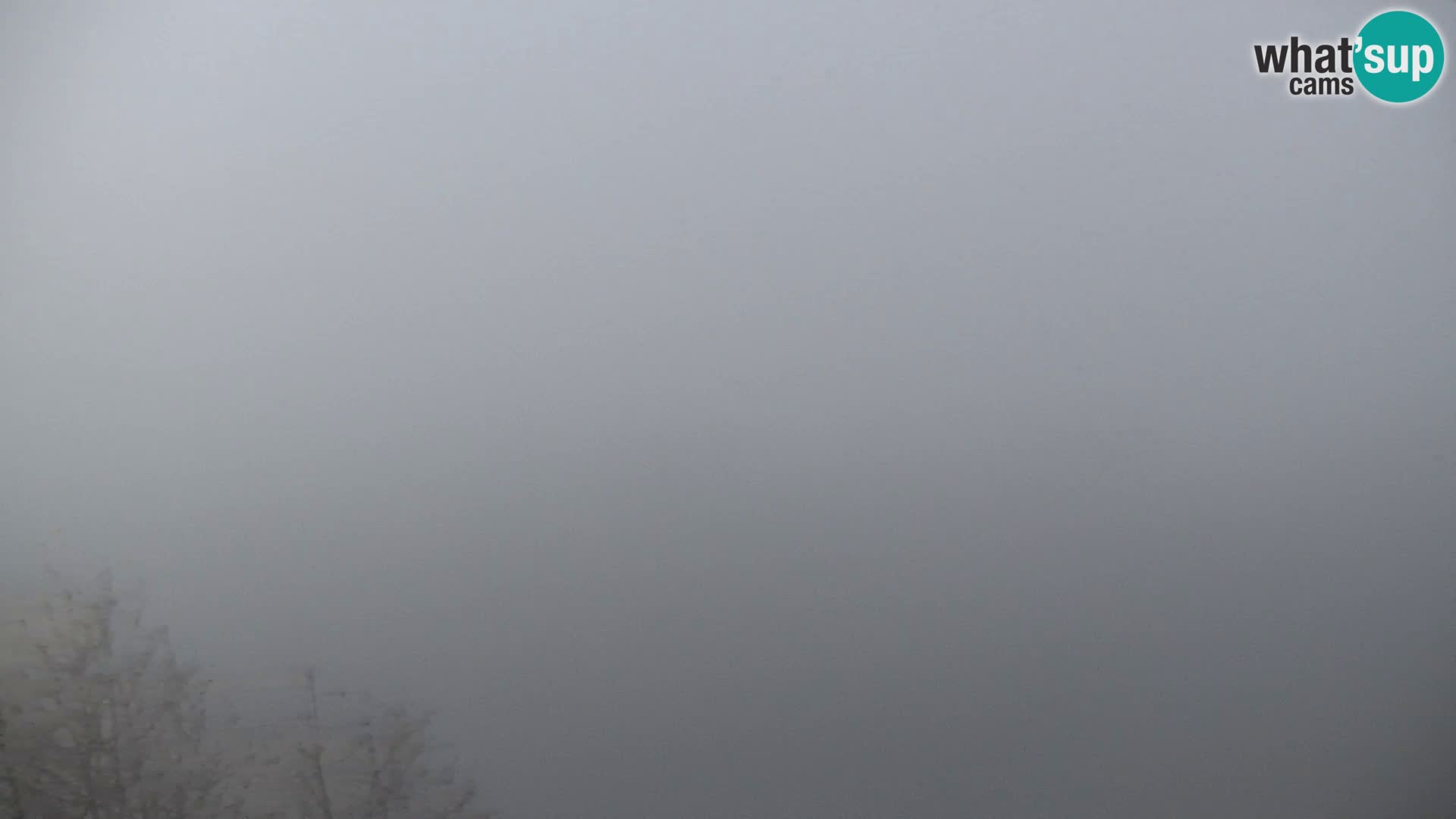 Spletna kamera Kapunar – Radlje ob Dravi