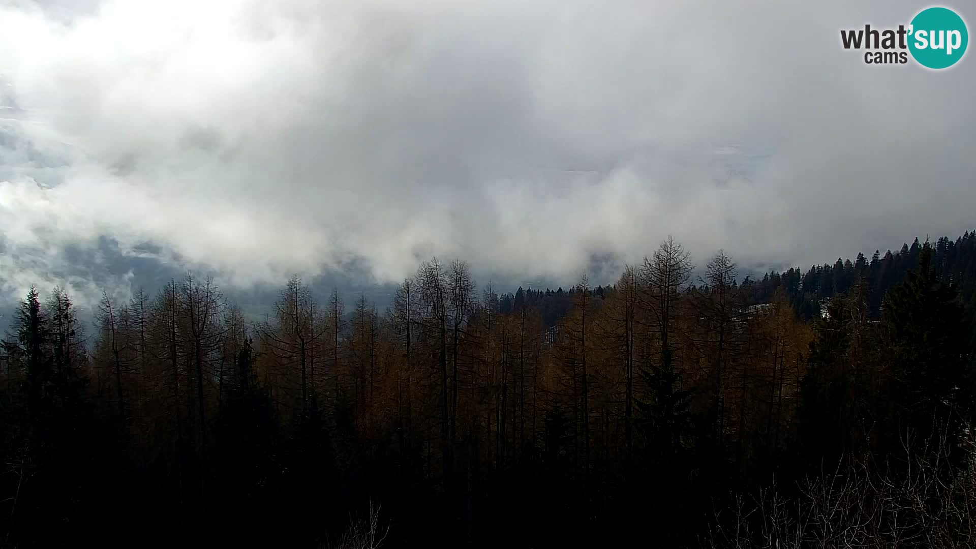 Webcam Kapunar | Monte Kapuna hacia Austria y Pohorje