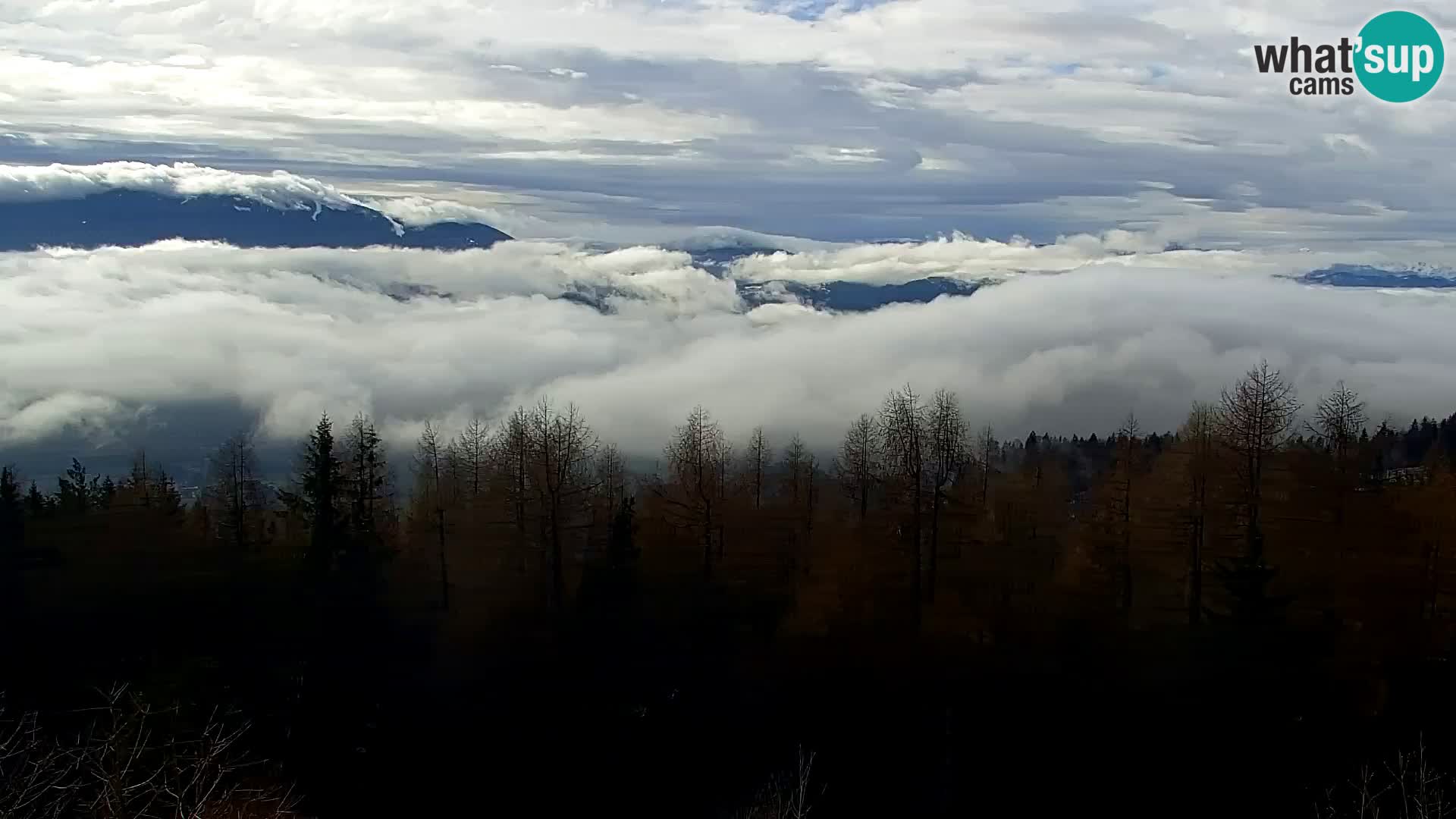 Spletna kamera Kapunar – Radlje ob Dravi