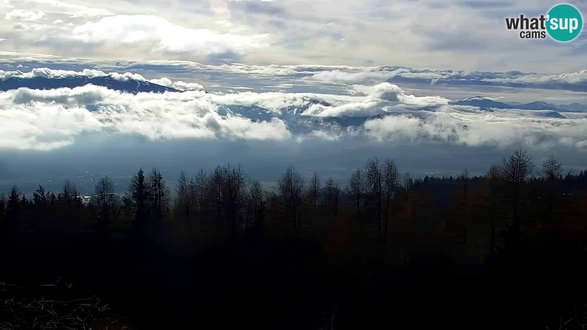 Webcam Kapunar – Radlje ob Dravi