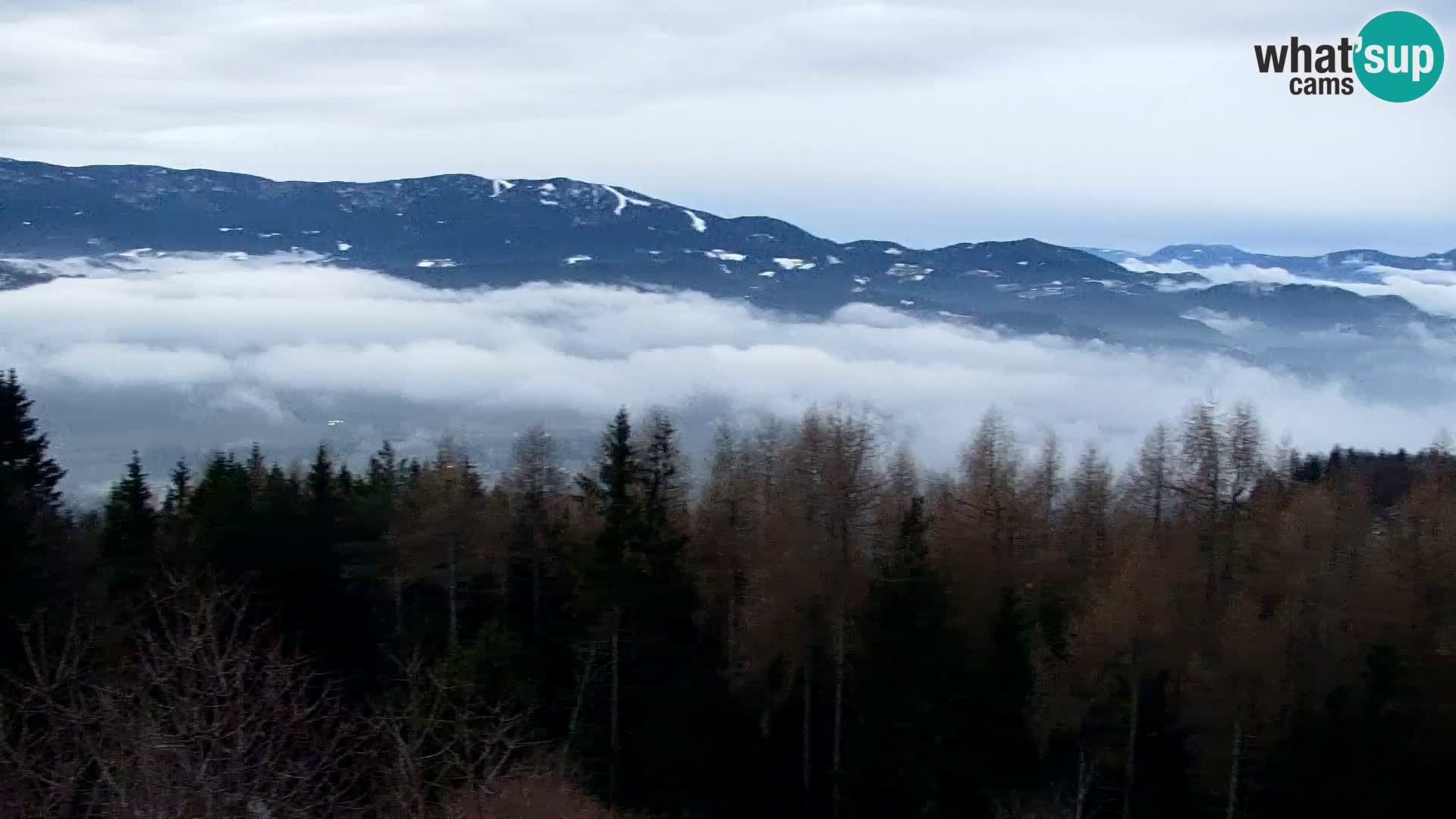 Live cam Kapunar – Radlje ob Dravi