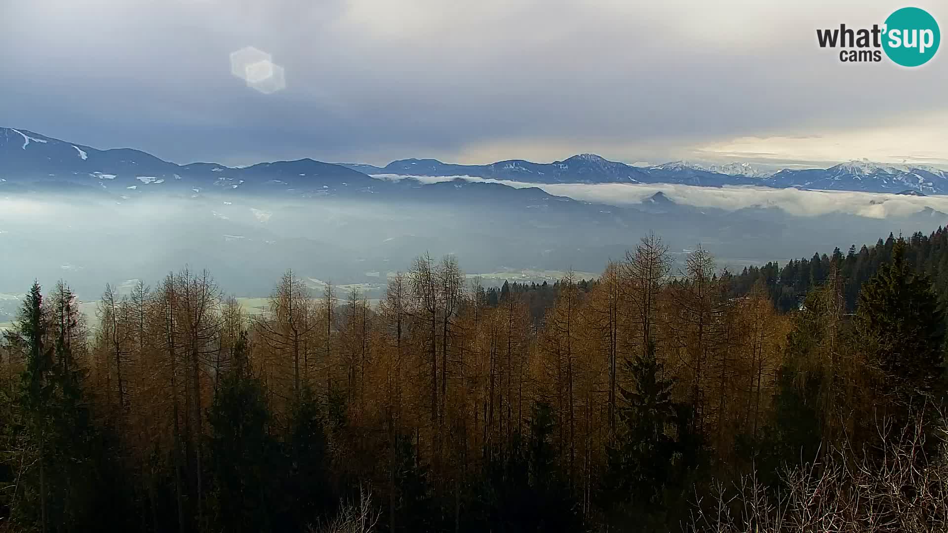 Live cam Kapunar – Radlje ob Dravi