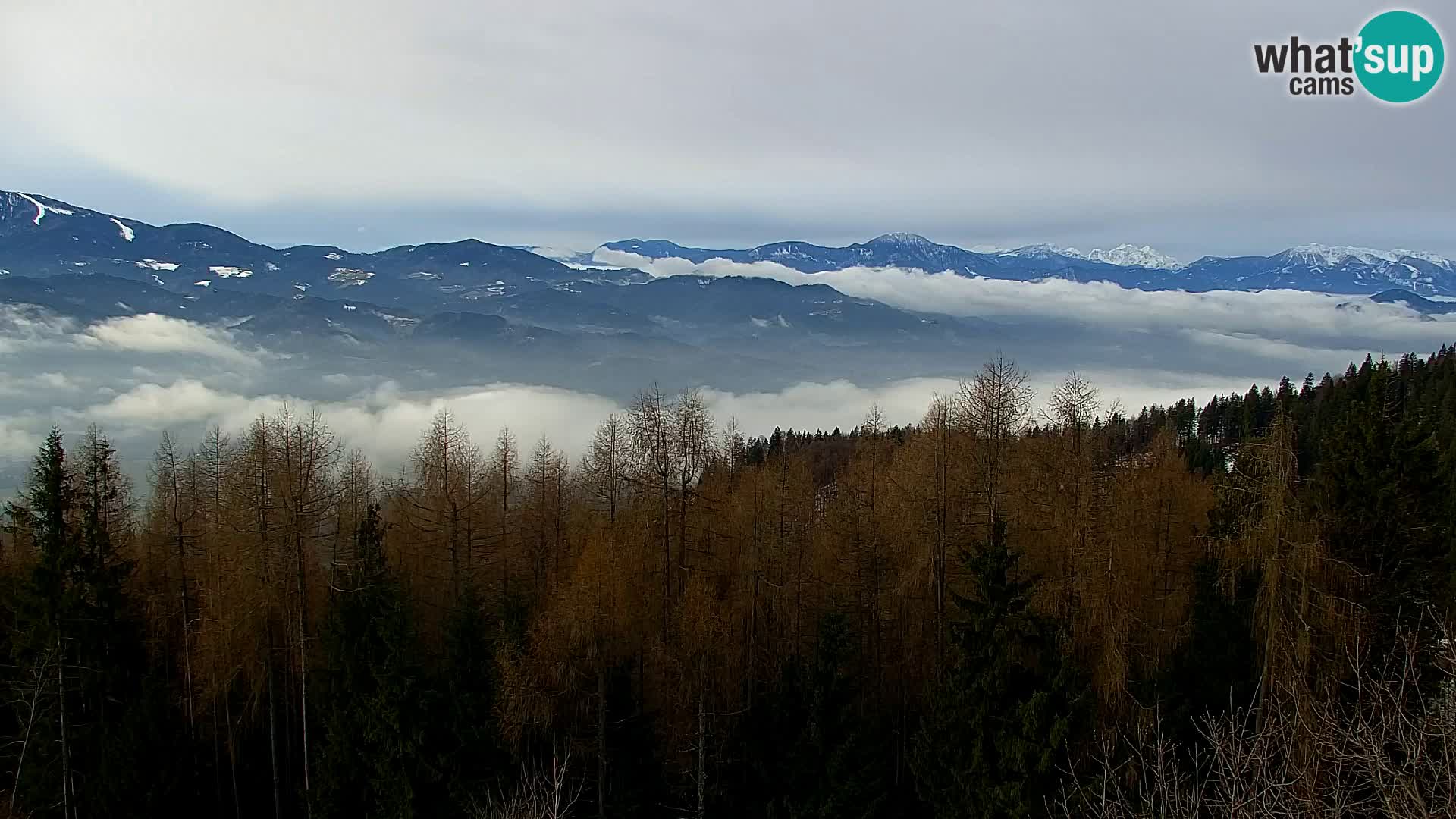 Spletna kamera Kapunar – Radlje ob Dravi