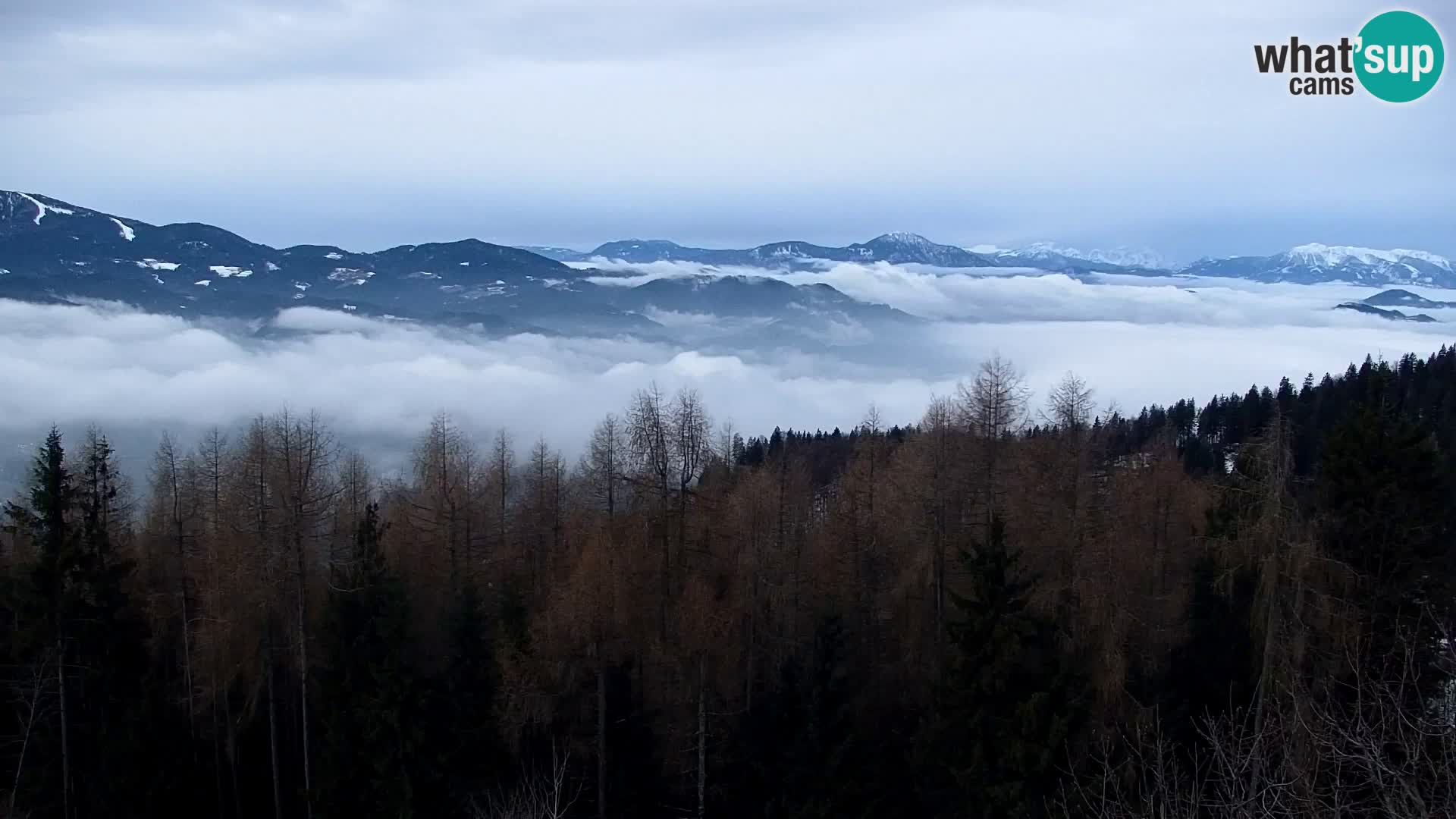 Live cam Kapunar – Radlje ob Dravi