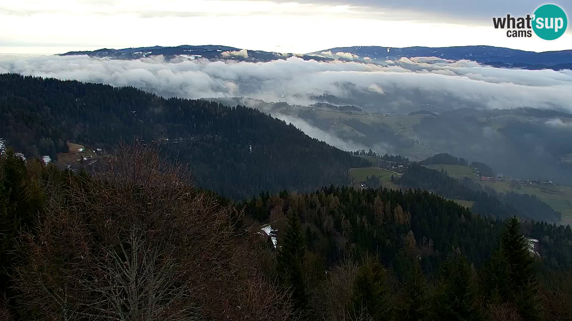 Webcam Kapunar – Radlje ob Dravi