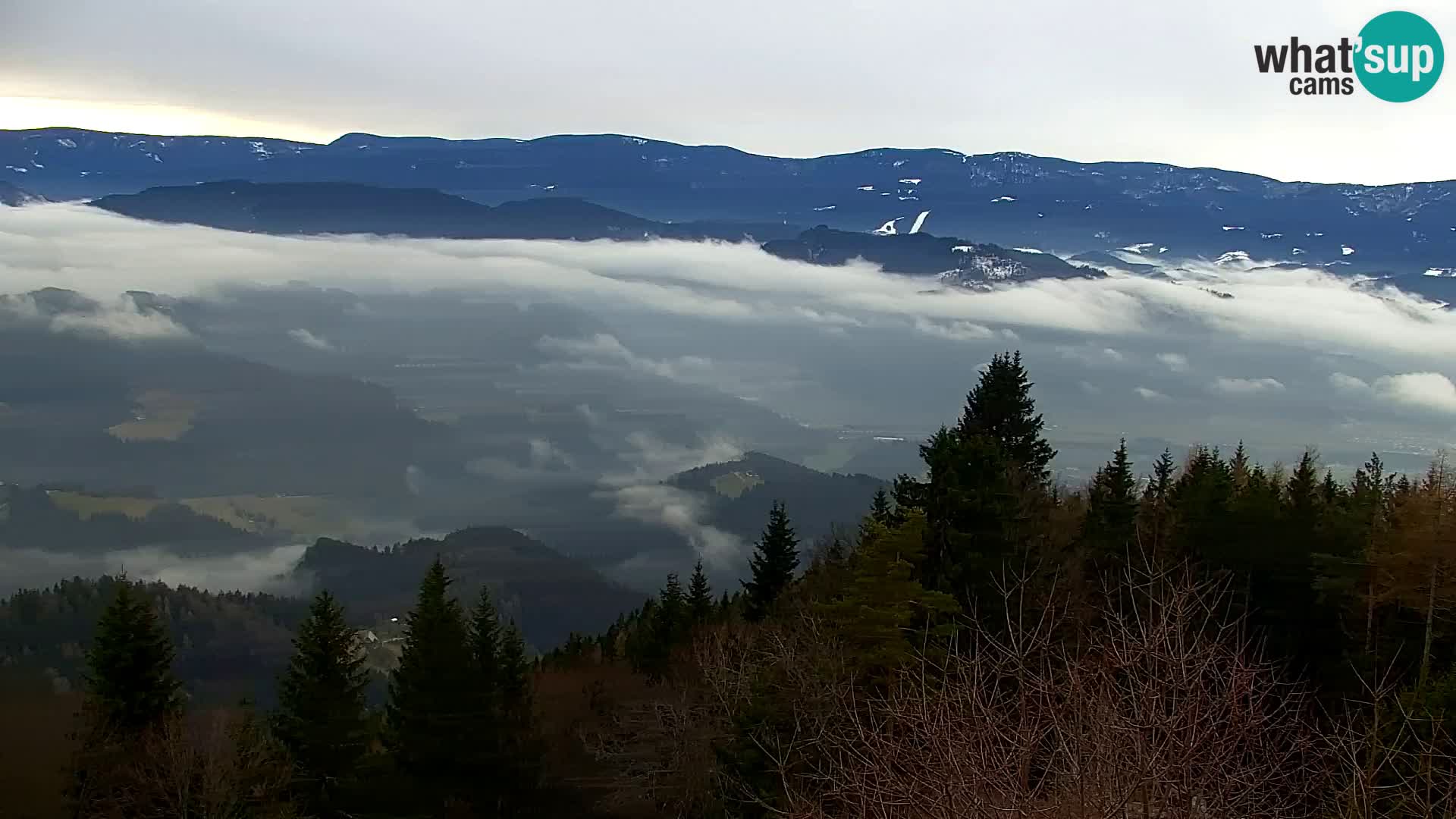 Kapunar Web kamera – Radlje ob Dravi