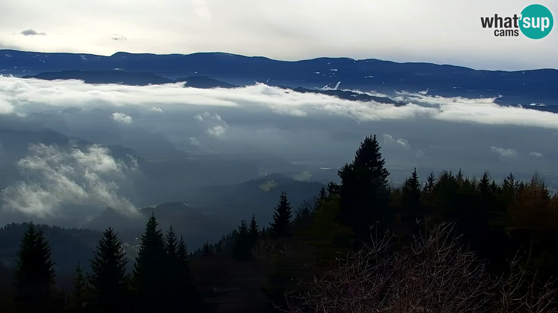 Spletna kamera Kapunar – Radlje ob Dravi