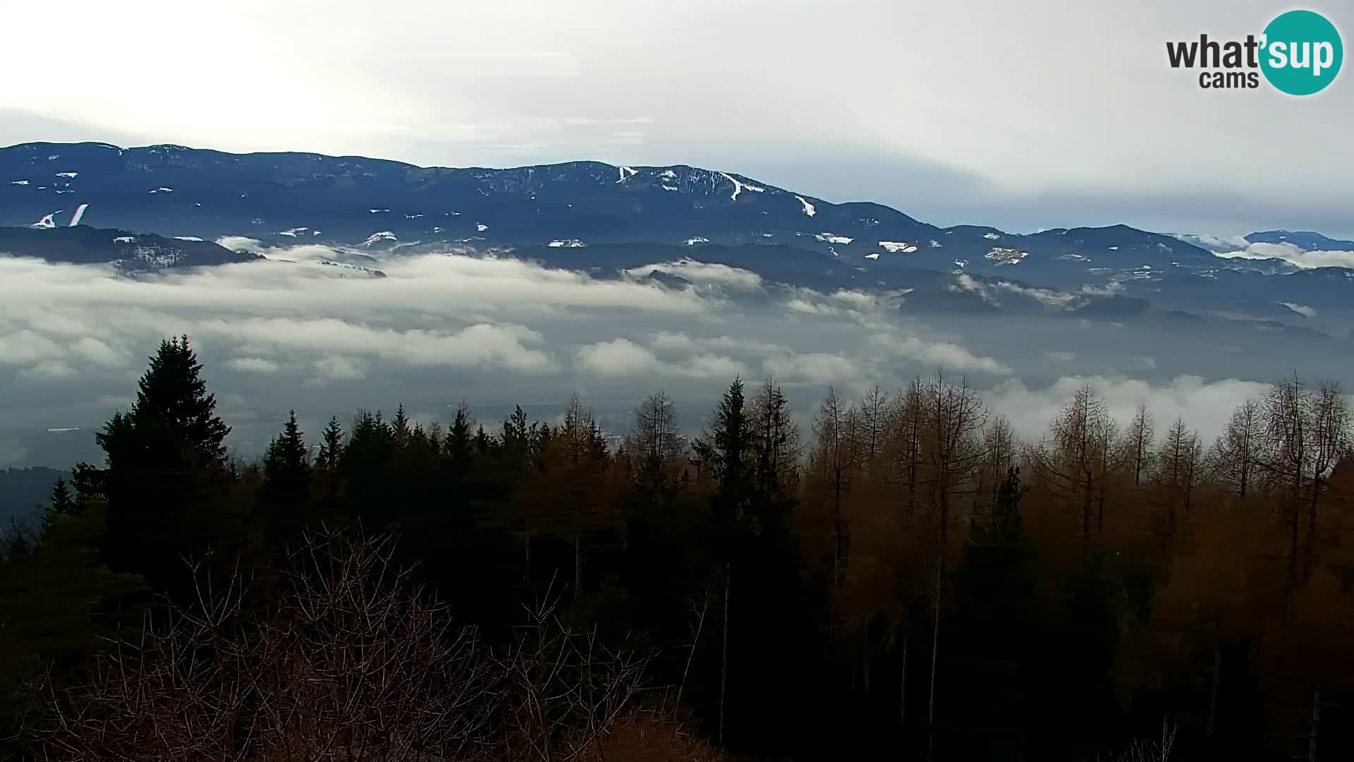 Live cam Kapunar – Radlje ob Dravi