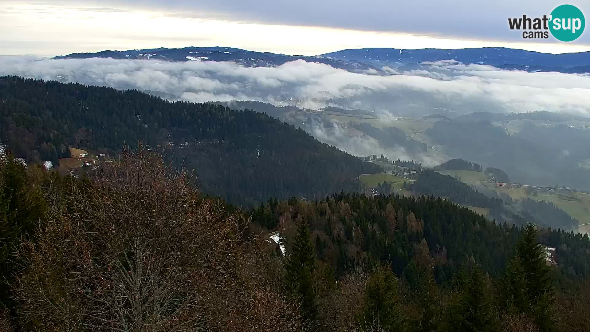 Live cam Kapunar – Radlje ob Dravi