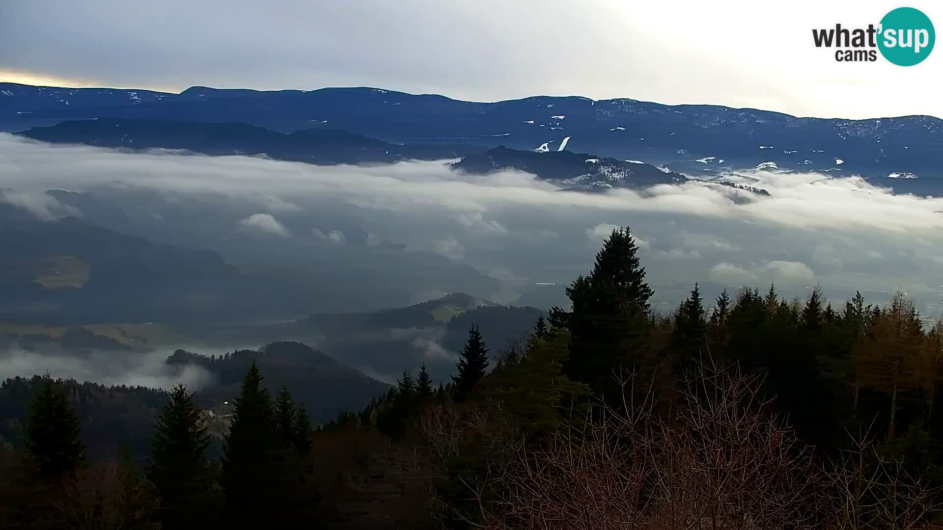 Kapunar Webcam – Radlje ob Dravi