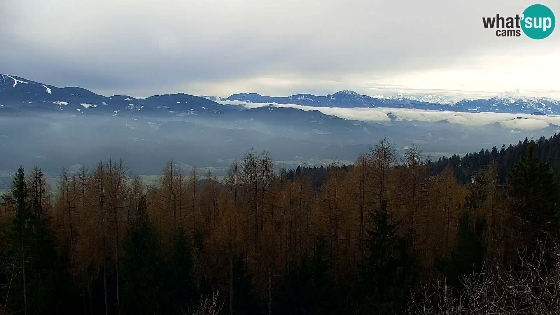 Webcam Kapunar – Radlje ob Dravi