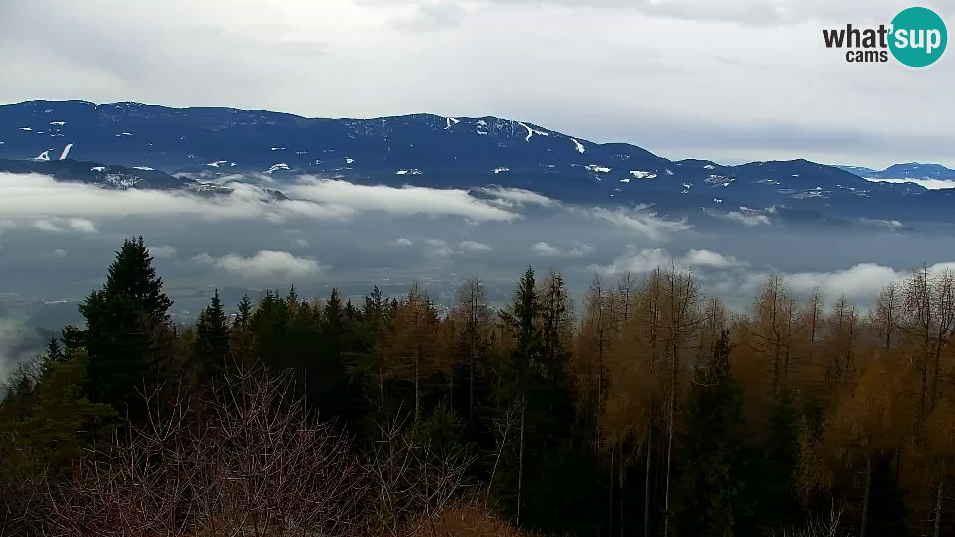 Live cam Kapunar – Radlje ob Dravi