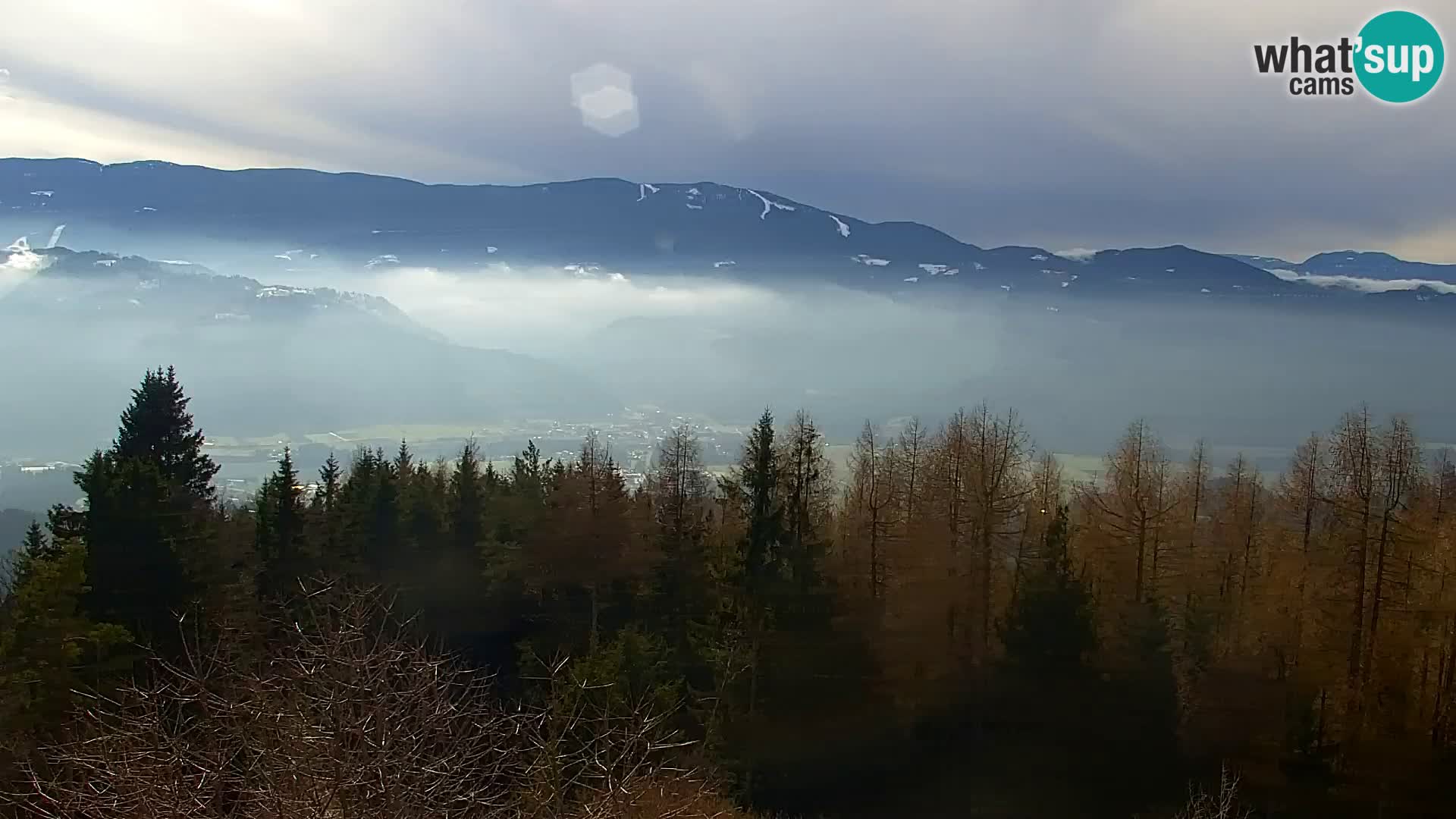 Spletna kamera Kapunar – Radlje ob Dravi