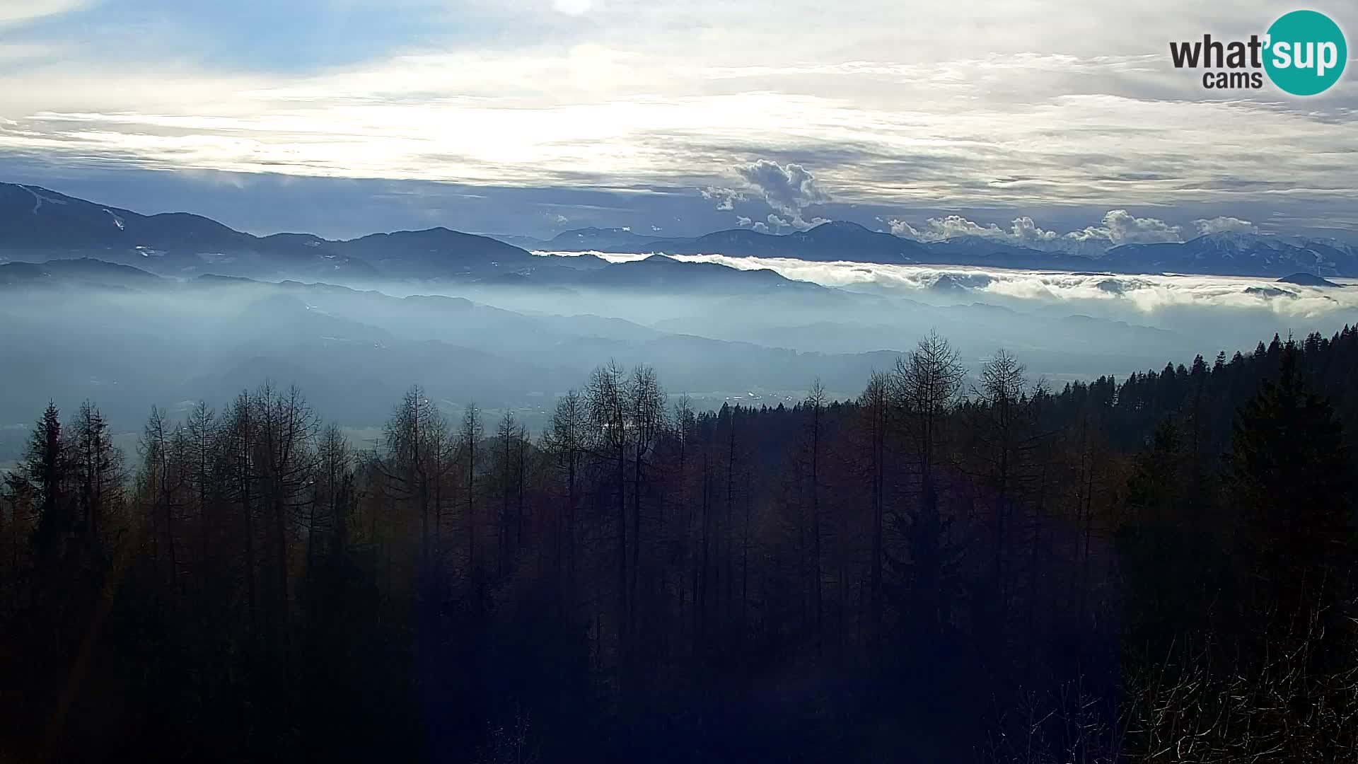 Spletna kamera Kapunar – Radlje ob Dravi
