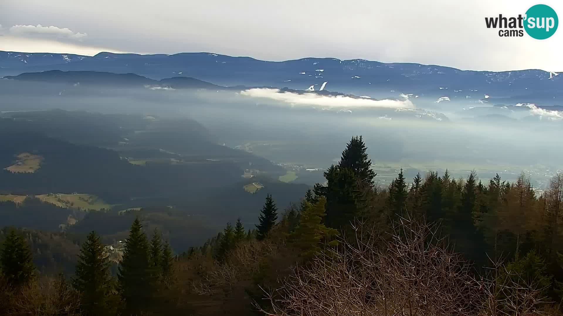 Kapunar Webcam – Radlje ob Dravi