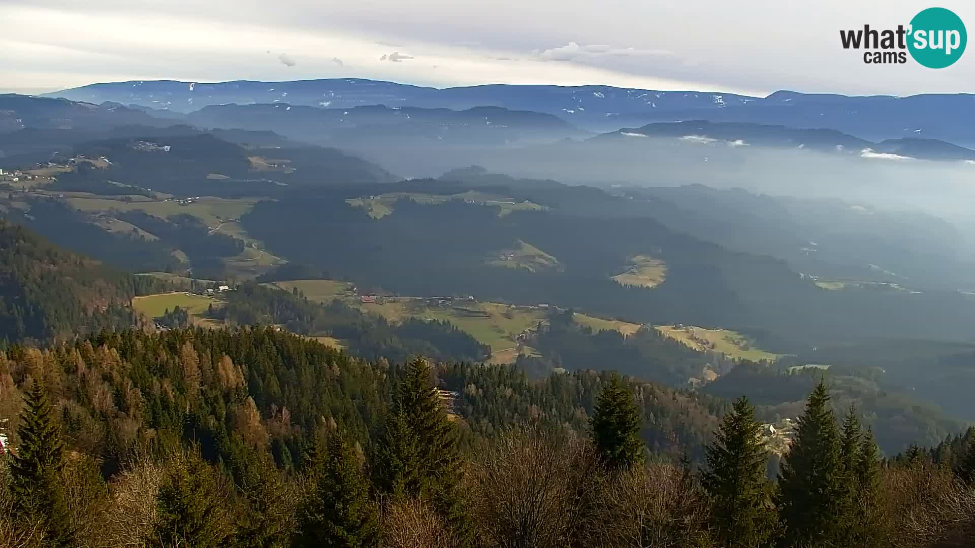 Spletna kamera Kapunar – Radlje ob Dravi