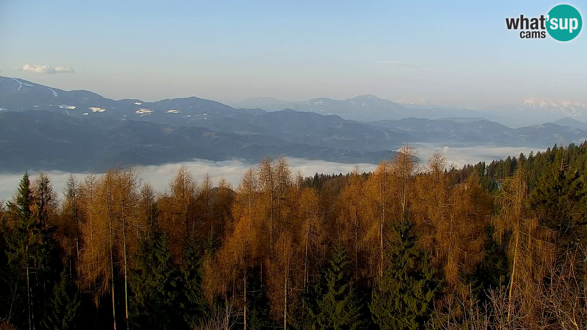 Webcam Kapunar – Radlje ob Dravi