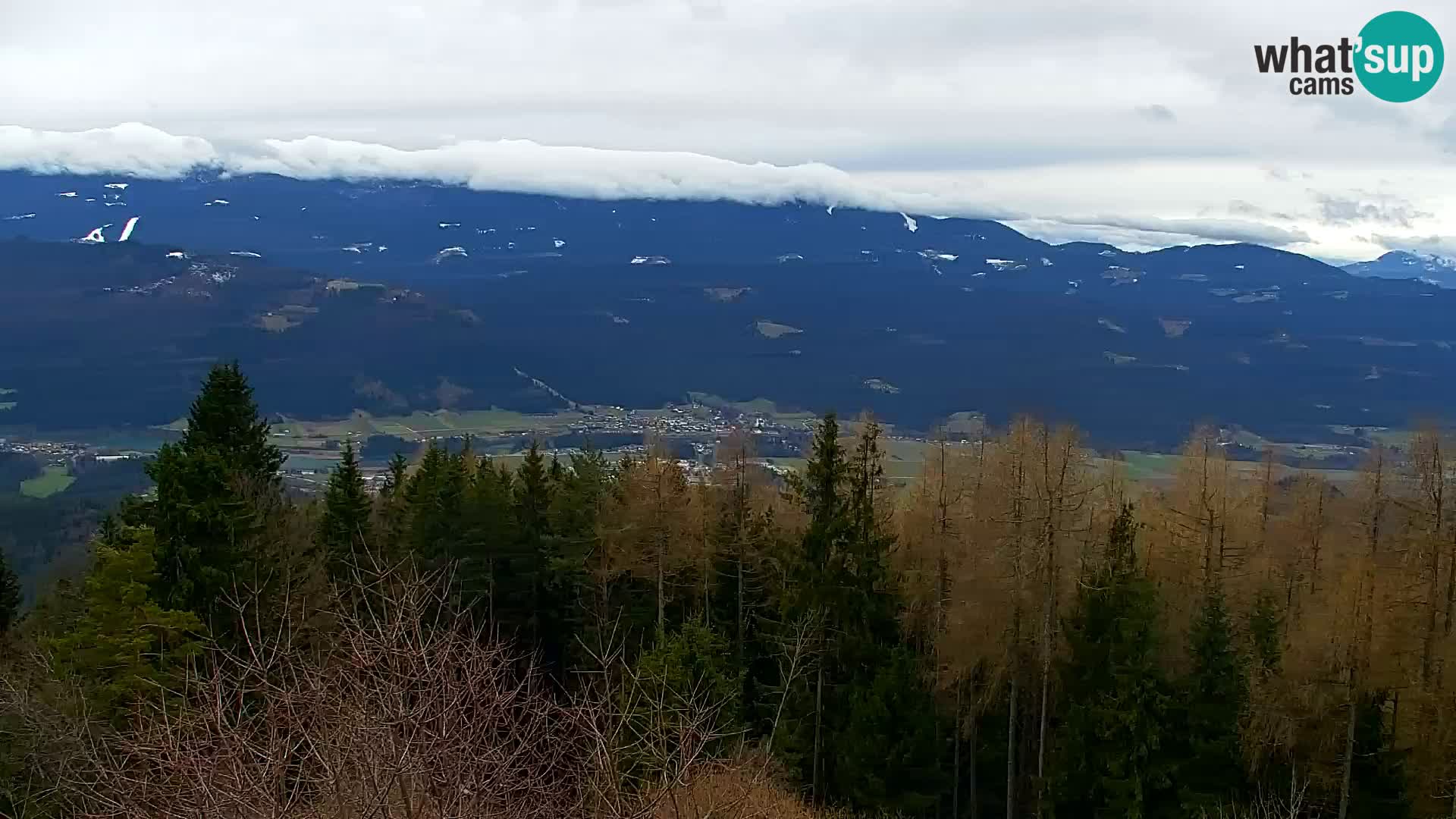 Webcam Kapunar – Radlje ob Dravi