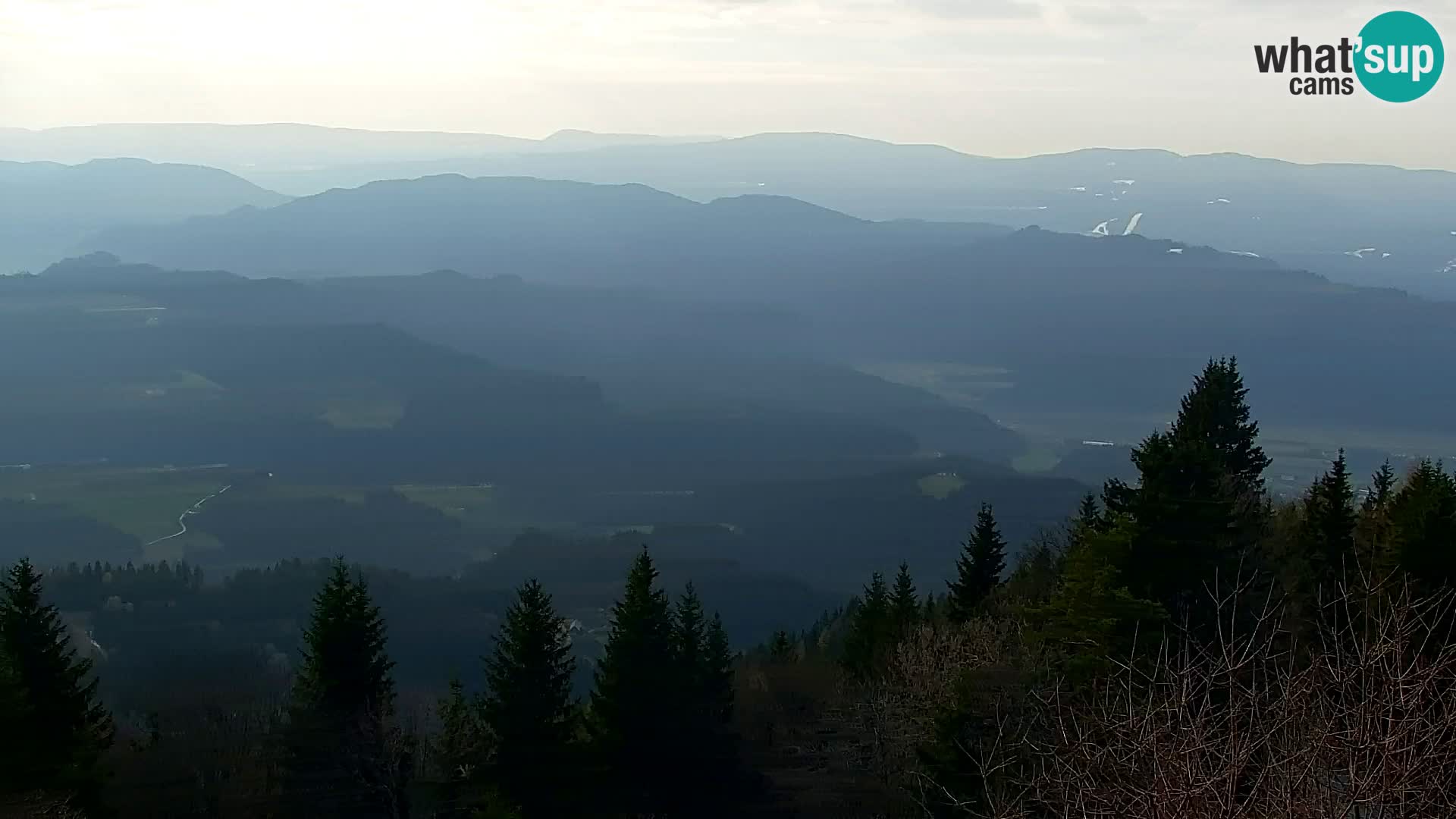 Kapunar Web kamera – Radlje ob Dravi