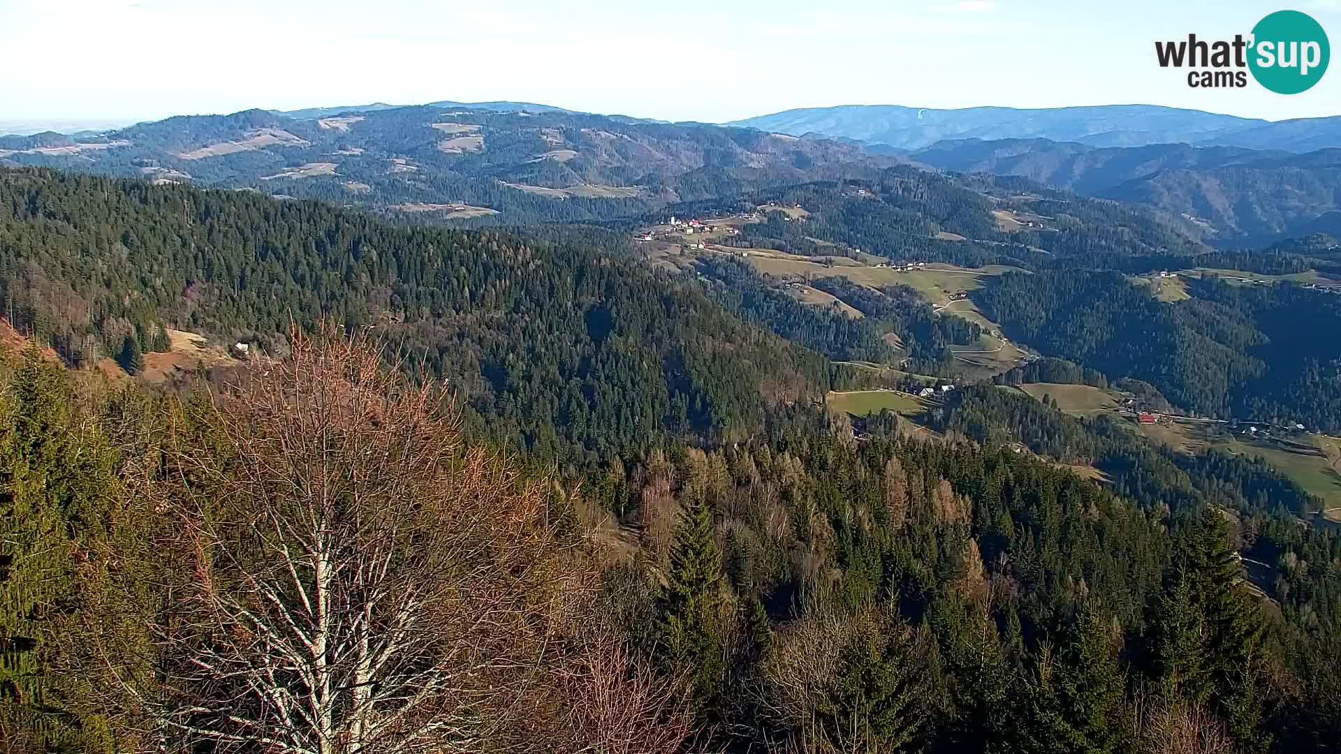 Spletna kamera Kapunar – Radlje ob Dravi